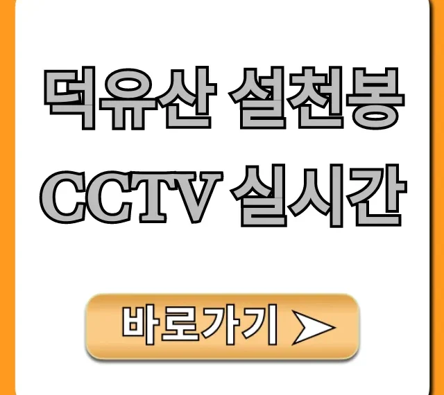덕유산 설천봉 CCTV 실시간 날씨, 현재 상황 확인