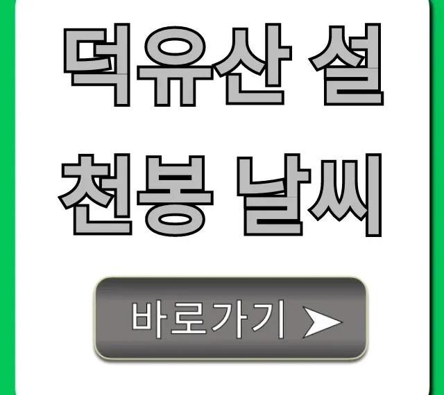 덕유산 설천봉 날씨 실시간 곤돌라 완벽 가이드