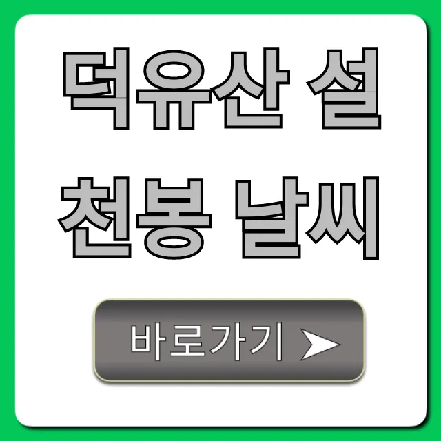 덕유산 설천봉 날씨 실시간 곤돌라 완벽 가이드 덕유산 설천봉 날씨 실시간 곤돌라 완벽 가이드