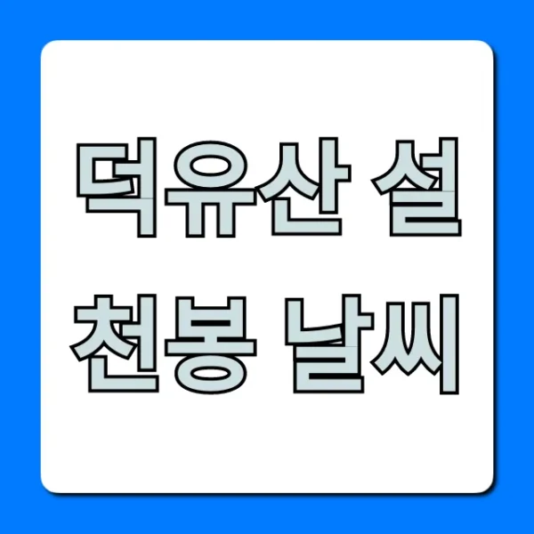 덕유산 설천봉 날씨 현재 기온과 곤돌라 운행 실시간 조회
