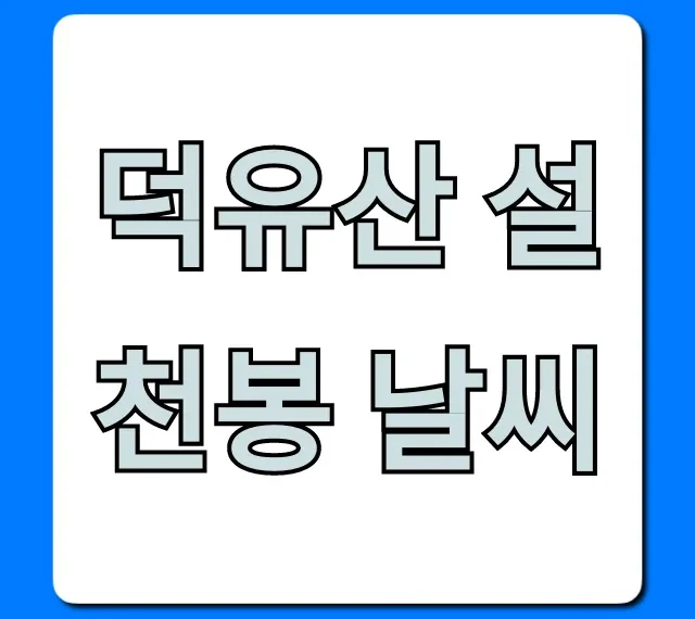 덕유산 설천봉 날씨 현재 기온과 곤돌라 운행 실시간 조회