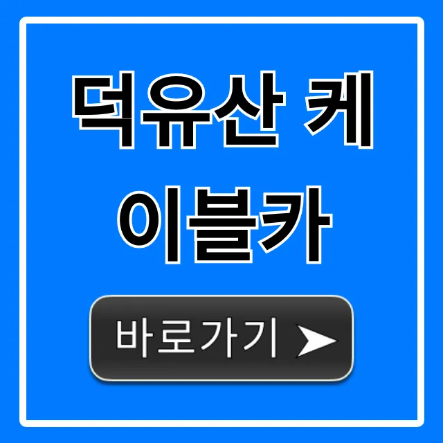 덕유산 케이블카 요금, 시간, 예약 꿀팁! 덕유산 케이블카 요금, 시간, 예약 꿀팁!