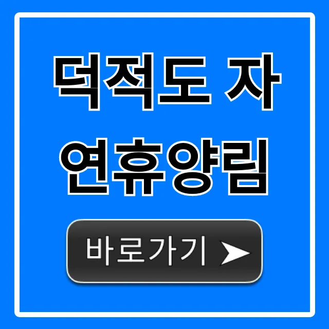 덕적도 자연휴양림 예약, 가격 총정리 덕적도 자연휴양림 예약, 가격 총정리