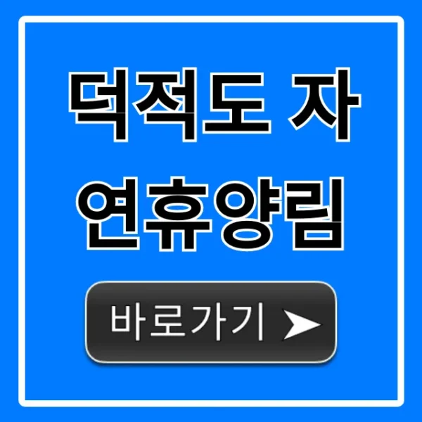 덕적도 자연휴양림 예약 방법, 시설 꿀팁 총정리