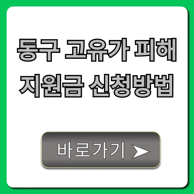 동구 고유가 피해지원금 신청방법 완벽 가이드 동구 고유가 피해지원금 신청방법 완벽 가이드