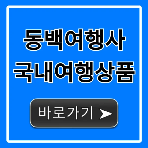 동백여행사 국내여행상품: BEST 10 총정리!