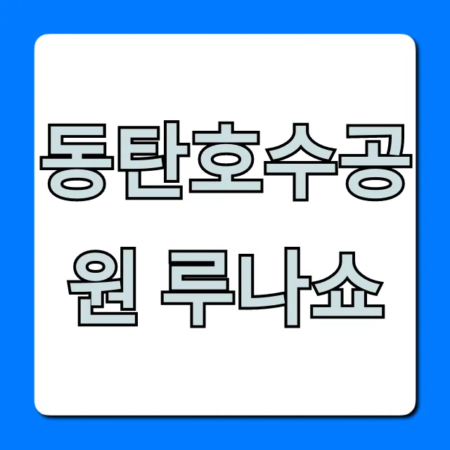동탄호수공원 루나쇼 시간 명당 주차 꿀팁 총정리