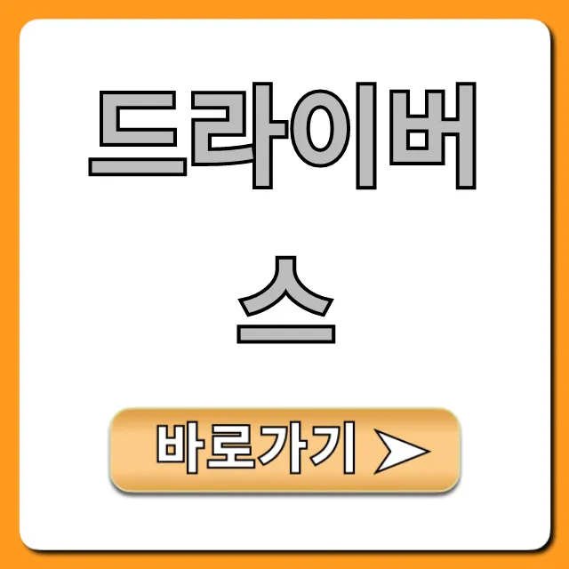 드라이버스 신청 방법 & 꿀팁 총정리