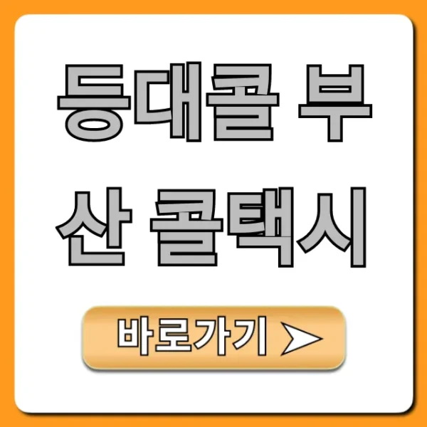 등대콜 부산 콜택시: 빠르고 안전한 호출 꿀팁!