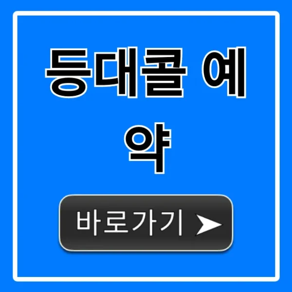 등대콜 예약: 요금부터 신청까지 완벽 가이드