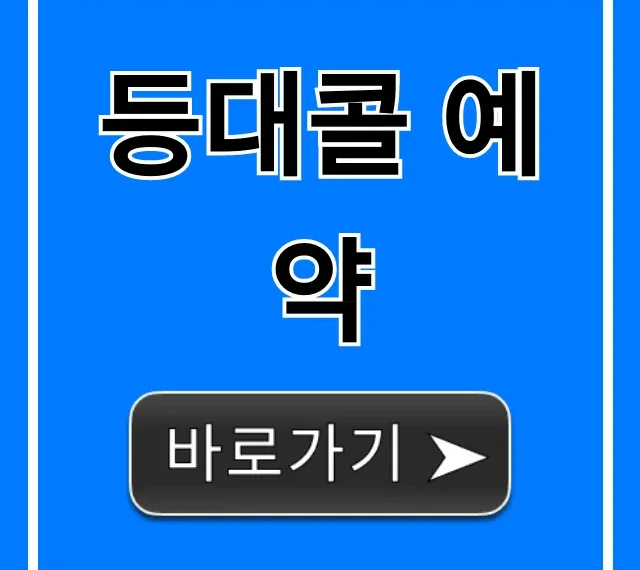 등대콜 예약: 요금부터 신청까지 완벽 가이드