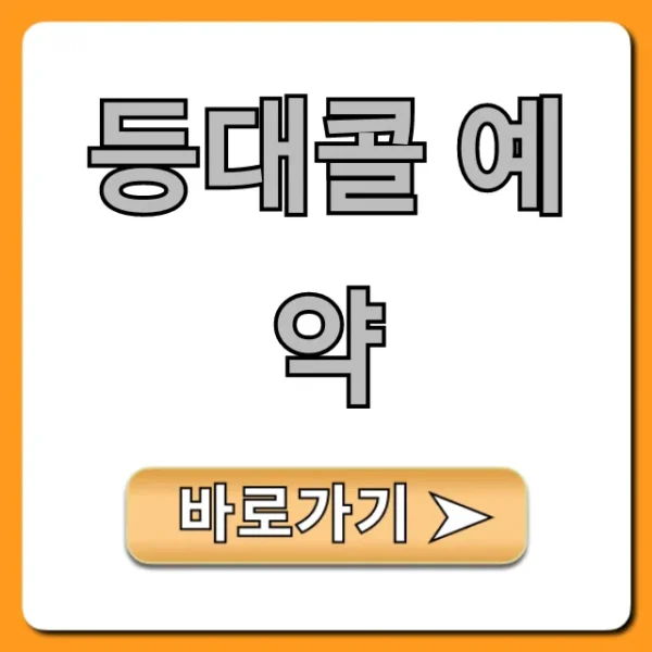 등대콜 예약 총정리! 1분만에 끝내는 신청 방법