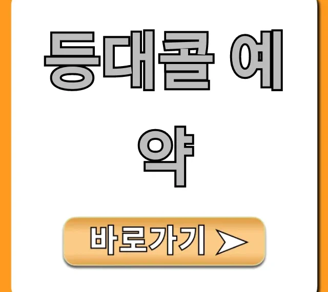등대콜 예약 총정리! 1분만에 끝내는 신청 방법