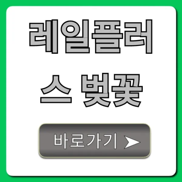 레일플러스 벚꽃 한정판 판매처 총정리
