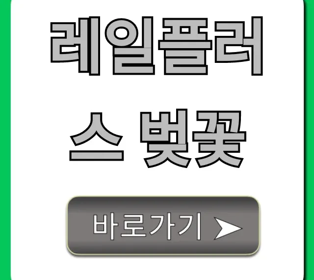 레일플러스 벚꽃 한정판 판매처 총정리