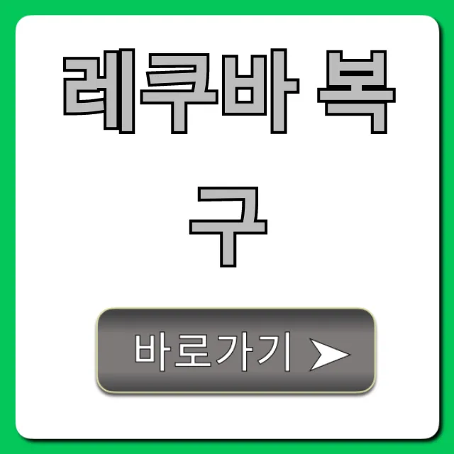 레쿠바 복구 무료로 삭제 파일 완벽 복구 꿀팁 레쿠바 복구 무료로 삭제 파일 완벽 복구 꿀팁