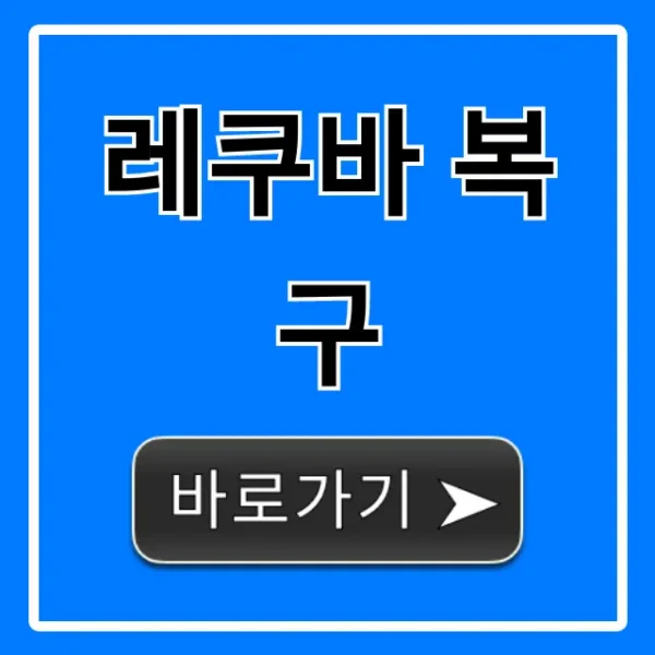 레쿠바 복구 사용법: 삭제 파일 완벽 복원 꿀팁