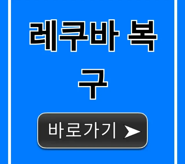 레쿠바 복구 사용법: 삭제 파일 완벽 복원 꿀팁