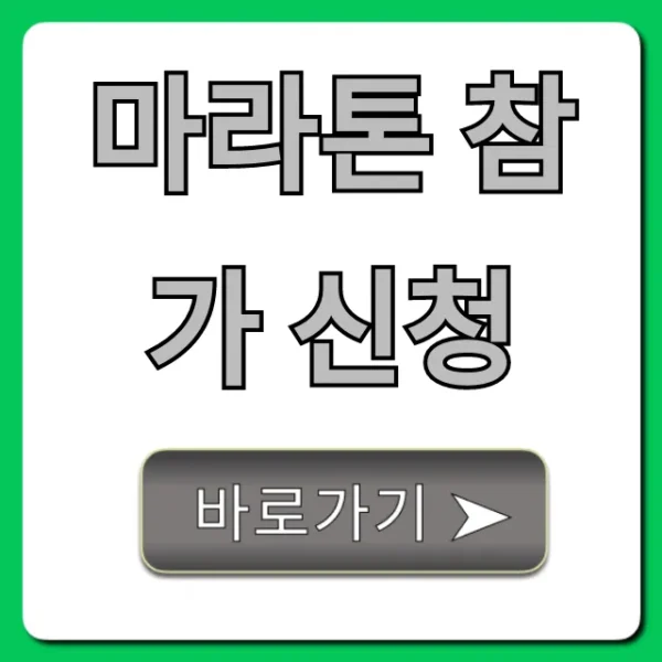 마라톤 참가 신청 2024년 완벽 가이드