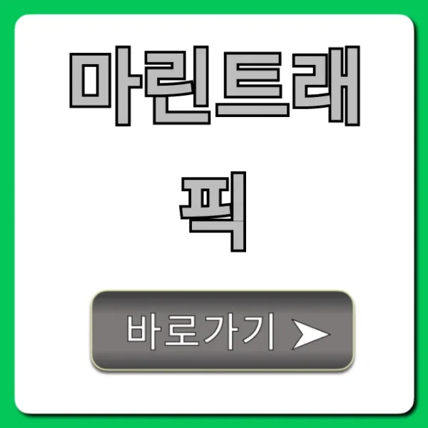 마린트래픽 완벽 가이드: 실시간 선박 조회 꿀팁