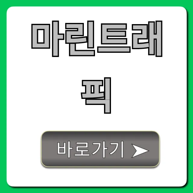 마린트래픽 완벽 가이드: 실시간 선박 조회 꿀팁 마린트래픽 완벽 가이드: 실시간 선박 조회 꿀팁