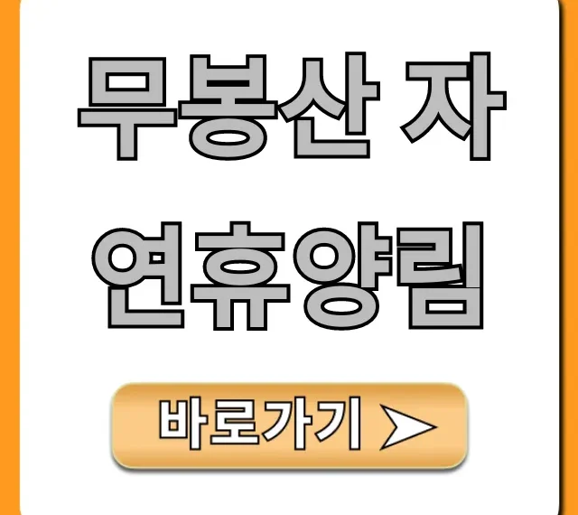 무봉산 자연휴양림, 숲캉스 예약 꿀팁 총정리