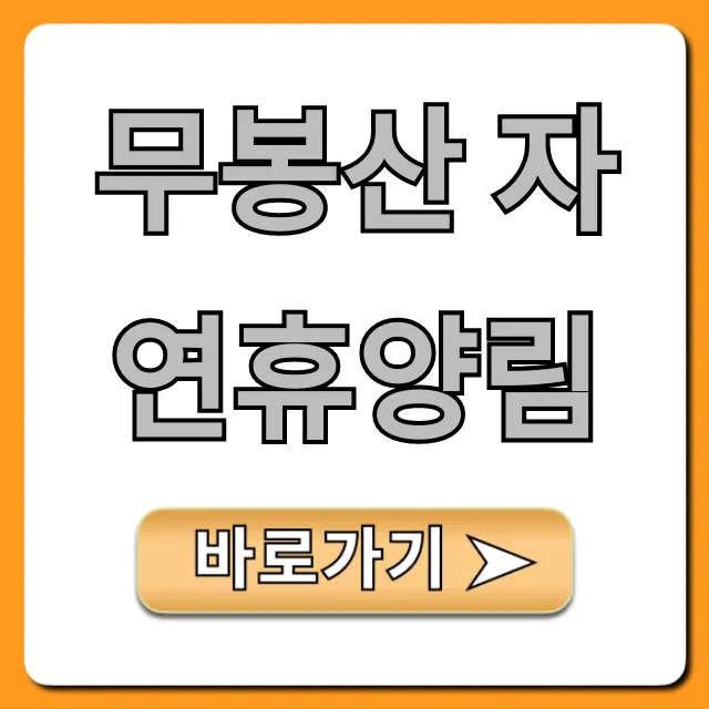 무봉산 자연휴양림, 숲캉스 예약 꿀팁 총정리