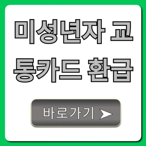 미성년자 교통카드 환급: 완벽 가이드 및 신청 방법 총정리