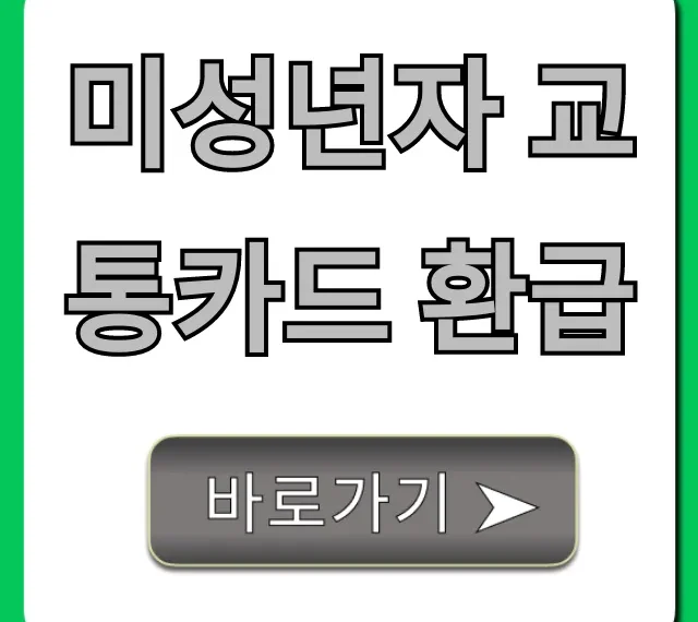 미성년자 교통카드 환급: 완벽 가이드 및 신청 방법 총정리