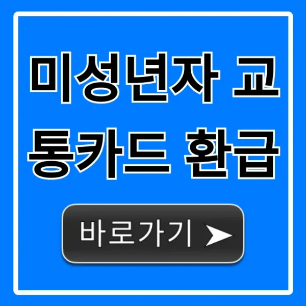 미성년자 교통카드 환급: 잔액 환불 신청 방법