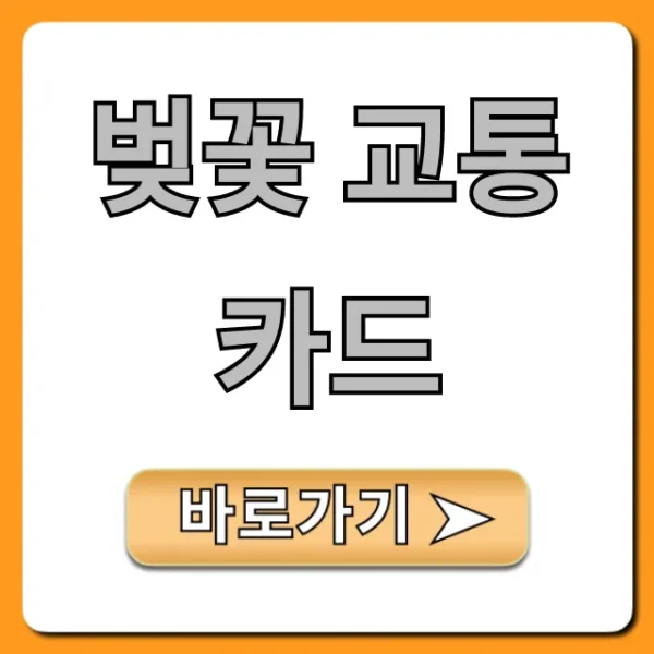 벚꽃 교통카드 구매처 및 가격 총정리