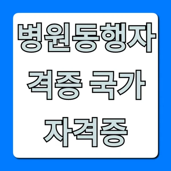 병원동행자격증 국가자격증: 취득 방법부터 전망까지 완벽 가이드