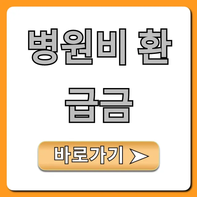 병원비 환급금 조회부터 신청! 완벽 가이드 병원비 환급금 조회부터 신청! 완벽 가이드