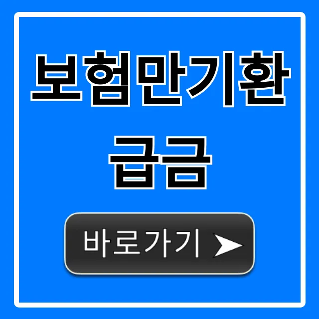 보험만기환급금 조회부터 수령까지 완벽 가이드