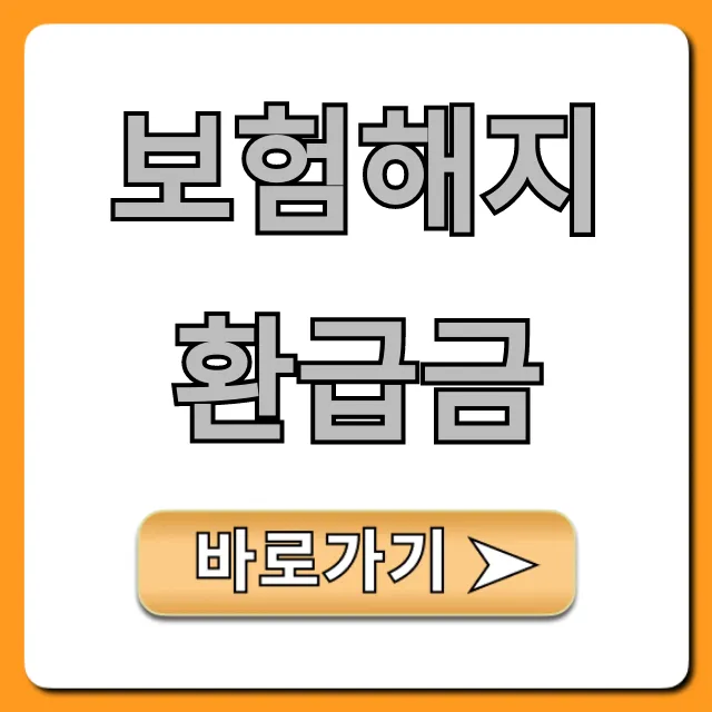 보험해지환급금 조회! 숨겨진 금액 찾는 꿀팁 보험해지환급금 조회! 숨겨진 금액 찾는 꿀팁