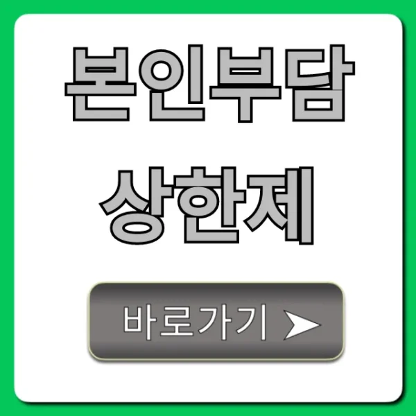 본인부담상한제: 숨은 병원비 환급금 신청 꿀팁!