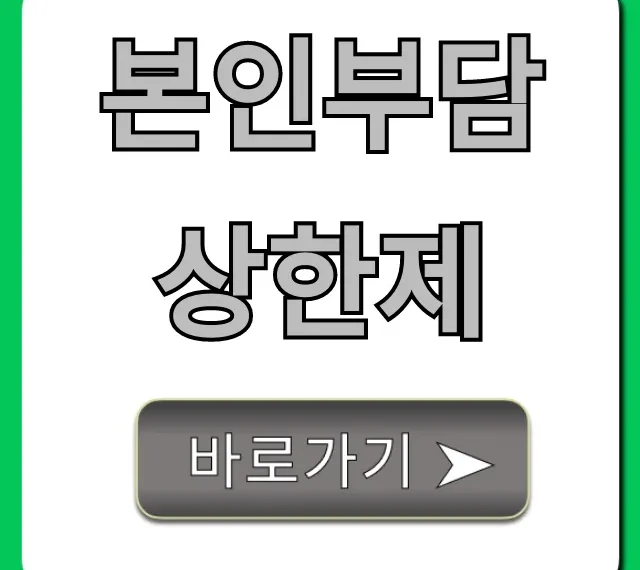본인부담상한제: 숨은 병원비 환급금 신청 꿀팁!