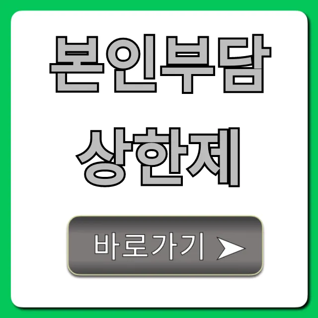 본인부담상한제 환급금 조회 및 신청 완벽 가이드 본인부담상한제 환급금 조회 및 신청 완벽 가이드