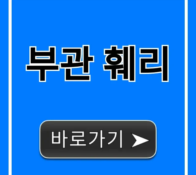 부관 훼리 가격, 예약, 시간표 완벽 가이드
