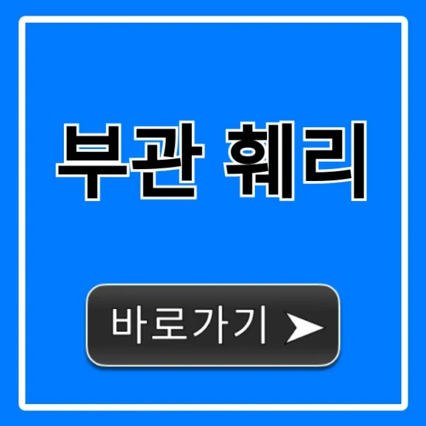 부관 훼리 가격 예약 시간표 총정리