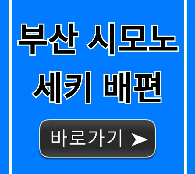 부산 시모노세키 배편 예약, 가격 완벽 가이드