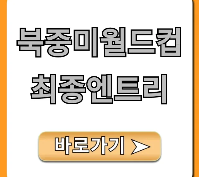 북중미월드컵 최종엔트리 발표: 황선홍호 명단 총정리