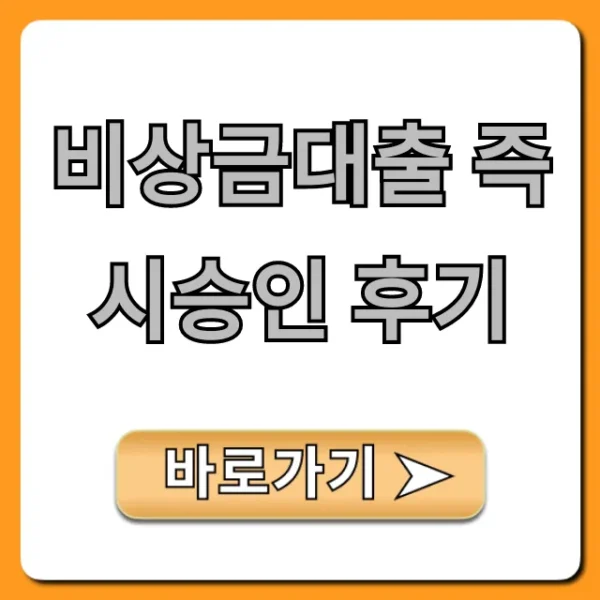 비상금대출 즉시승인 후기, 무직자 승인 꿀팁!