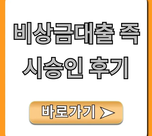 비상금대출 즉시승인 후기, 무직자 승인 꿀팁!