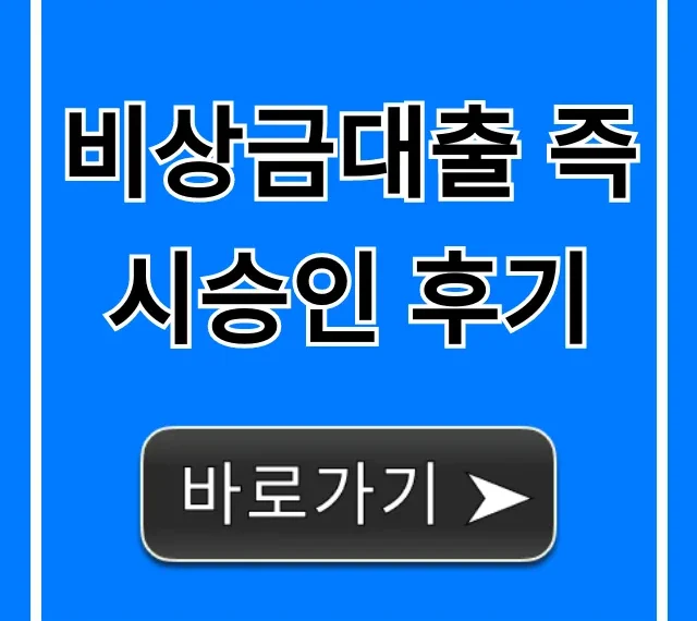 비상금대출 즉시승인 후기, 무직자 승인 꿀팁 총정리