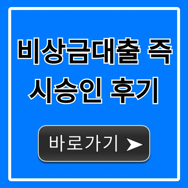 비상금대출 즉시승인 후기, 무직자 승인 꿀팁 총정리