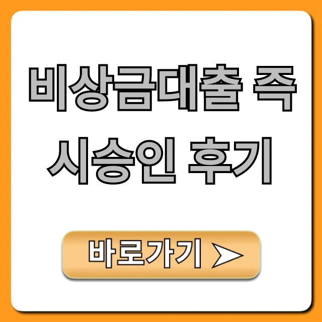 비상금대출 즉시승인 후기, 무직자 승인 꿀팁!