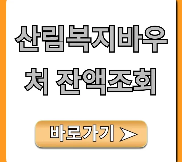 산림복지바우처 잔액조회 방법부터 사용처 꿀팁