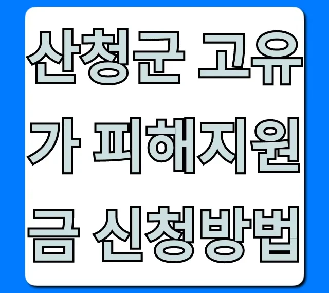 산청군 고유가 피해지원금 신청방법: 완벽 가이드 산청군 고유가 피해지원금 신청방법: 완벽 가이드