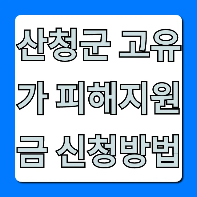 산청군 고유가 피해지원금 신청방법: 완벽 가이드 산청군 고유가 피해지원금 신청방법: 완벽 가이드